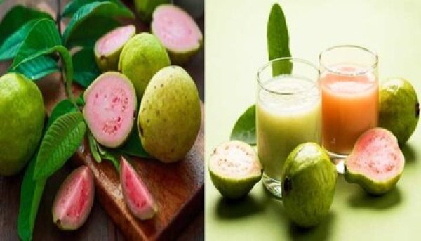 पेट की चर्बी कम करने के लिए अमरूद को भी बेहद कारगर माना जाता है. अमरूद सर्दियों का फल है और इस वक्त बाजार में आसानी से मिल जाएगा. अमरूद डाइटरी फाइबर से भरपूर होता है, जो पेट को लंबे समय तक भरा हुआ महसूस कराता है. इससे कैलोरी इनटेक कम करने में मदद मिलती है और वजन तेजी से कम होने लगता है.