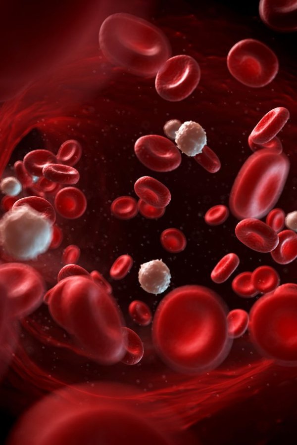 6. ब्लड सर्कुलेशन पर असर- बहुत ज्यादा ठंडे माहौल में रहने से शरीर में खून का प्रवाह थोड़ा धीमा हो सकता है, जिससे हड्डियों और मांसपेशियों तक सही पोषण नहीं पहुंच पाता।