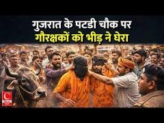 मवेशियों से भरा ट्रक पकड़ने गए गौरक्षकों पर हमला, दो घायल; वाहन में तोड़फोड़ || Cnews Bharat