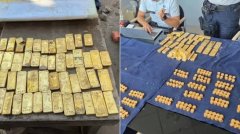 18 साल के लड़के ने जमीन खोदी तो निकल आया करोड़ों का खजाना, सोना देखकर रह गए सब दंग