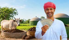 बड़े पैमाने पर करें उपलों का बिजनेस, जानिए तरीका...