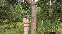 वन एवं पर्यावरण संरक्षण का संदेश,विभिन्न गांवों में मनाया गया वृक्ष रक्षा बंधन