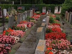 मौत के सन्नाटे में खिलती खूबसूरती: स्विट्जरलैंड के अनोखे कब्रिस्तान