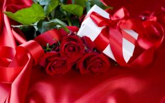 Rose Day Special: प्यार की शुरुआत गुलाब से क्यों होती है और कौन-सा गुलाब किस भावना का प्रतीक है?