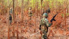 बीजापुर में सुरक्षा बलों का बड़ा अभियान: मुठभेड़ में 5 नक्सली ढेर, 214 ठिकाने किए गए ध्वस्त