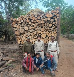 अवैध लकड़ी परिवहन पर वन विभाग की बड़ी कार्यवाही, चार वाहन जब्त