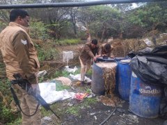 अवैध शराब के विरुद्ध आबकारी विभाग की ताबड़तोड़ कार्यवाही, 480 लीटर अवैध शराब बरामद