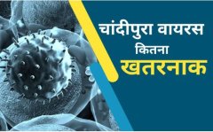 Chandipura Virus: गुजरात में फिर लौटा जानलेवा चांदीपुरा वायरस, जानें कितना खतरनाक है यह संक्रमण