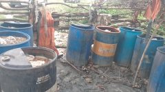 10 अवैध शराब भट्ठियां ध्वस्त, 11,500 किलो जावा महुआ नष्ट; 1,100 लीटर चुलाई शराब जब्त
