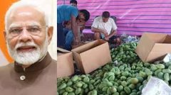 देश का 'VIP आम'! राष्ट्रपति को जाता है तोहफा, PM भी हैं इसके दीवाने