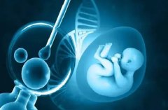 “मौत के बाद भी पितृत्व? जानिए स्पर्म कितनी देर तक रहता है जिंदा और क्या बन सकती है मां”