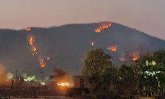 जंगल में आग लगने का सिलसिला बदस्तूर जारी है :वन विभाग का प्रयास फेल