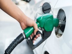 Pakistan Petrol Diesel Price: पेट्रोल-डीजल पर कितना टैक्स लेती है पाकिस्तान सरकार, एक झटके में कैसे कम कर दिए 22 रुपये?