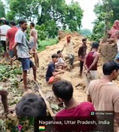 कच्चे मकान पर गिरा महुआ का पेड़, मलबे में दबकर गाय की मौत, 70 हजार का नुकसान